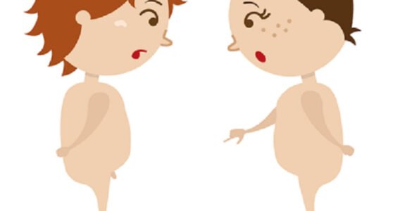 Componentes femeninos en el hombre 6 Componentes femeninos en el hombre
