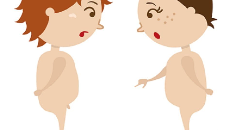 Componentes femeninos en el hombre