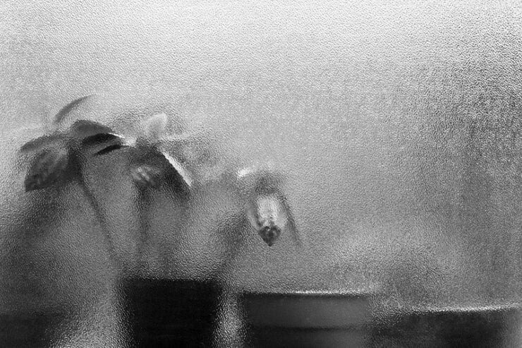 Laura Rivera. La fotografía en su silencio 12 Diario de instantes