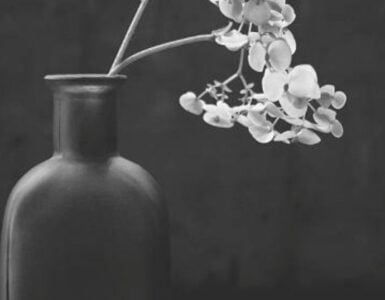 Arte y poesía, conmoción en lo abierto 3 Arte y poesía