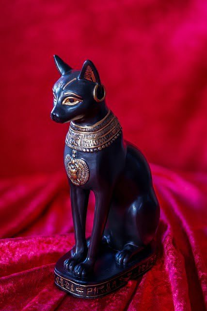 gato mascotas