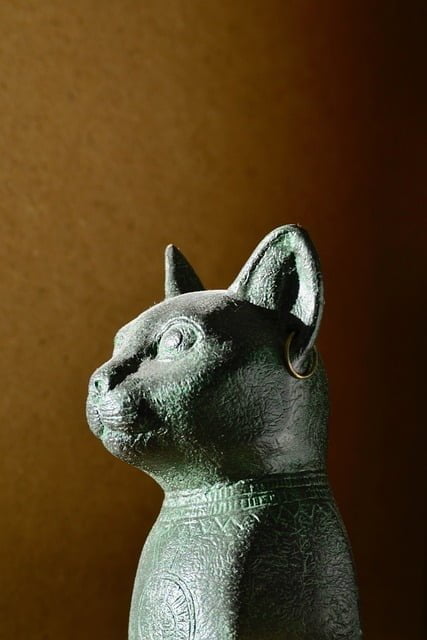 Gato Egipto