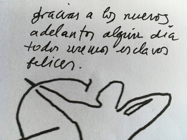 Nuevos adelantos
