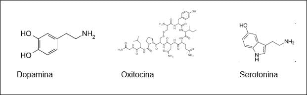 Serotonina Serotonina