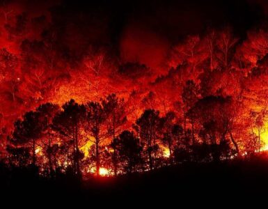 Colapso en la extinción de incendios forestales: cómo evitar una catástrofe 5 Incendios forestales