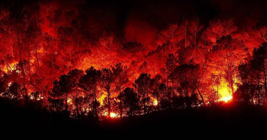 Incendios forestales