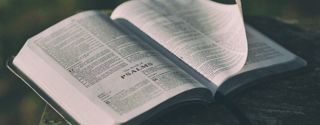 textos eficaces
