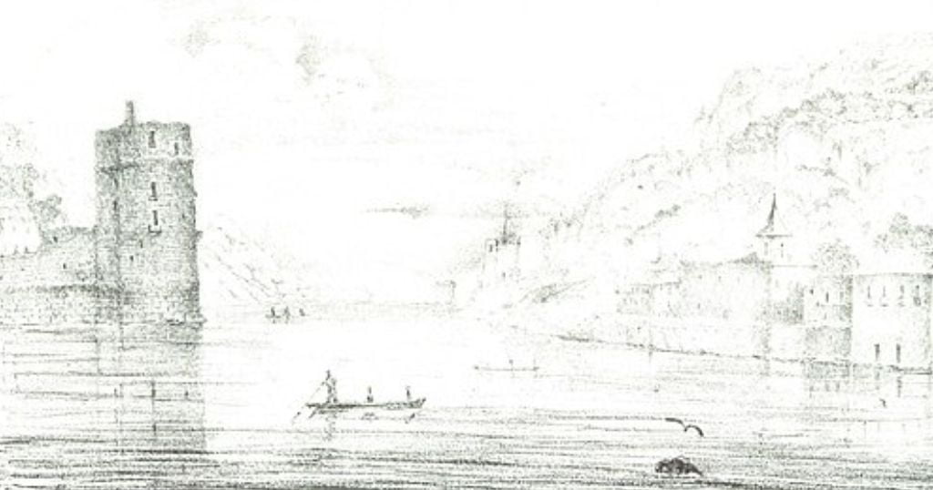 Aforismos del Cantábrico VII