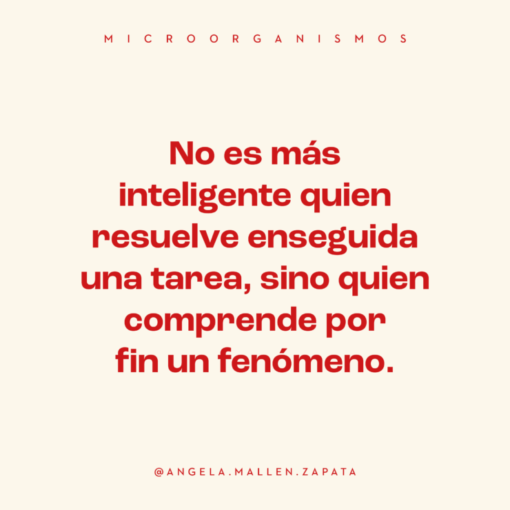 2. Microorganismos