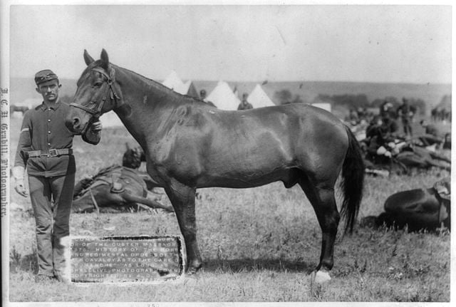 Comanche Comanche
