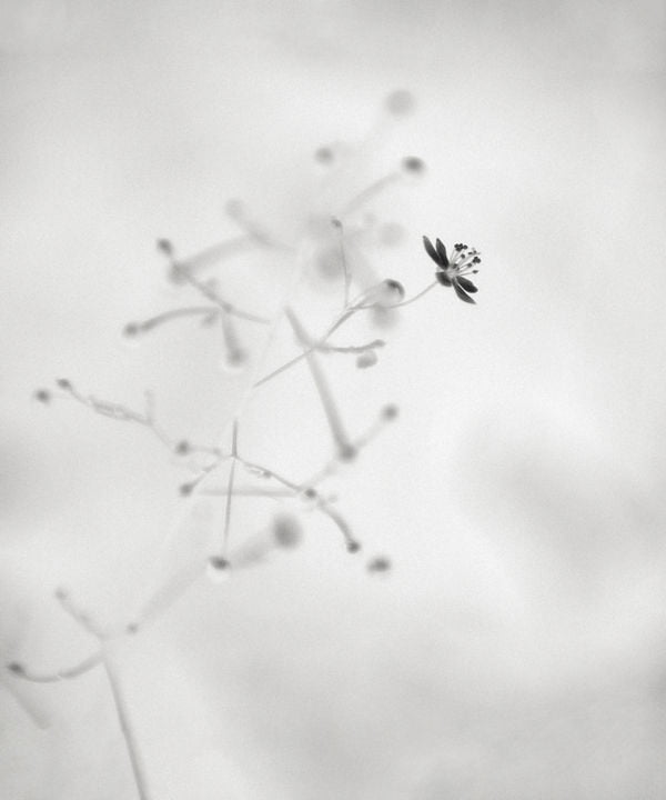 fotografía fotografía