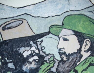 Fidel 11