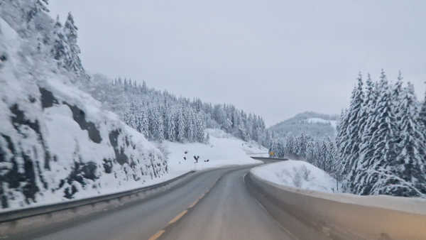 Noruega Una ruta escénica espectacular