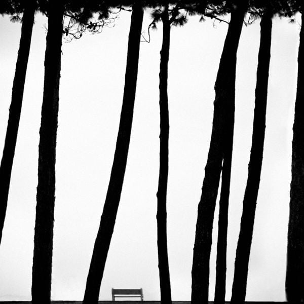 Angelis series