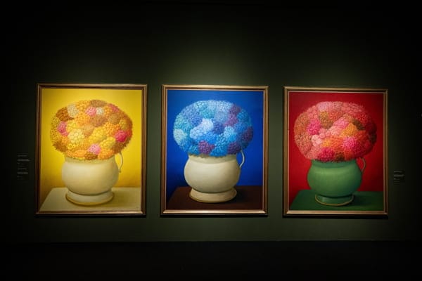 Botero singularidad