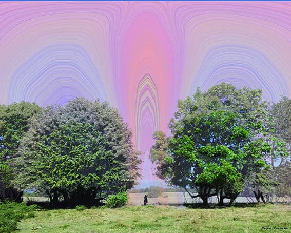 Pere Bruix arte digital