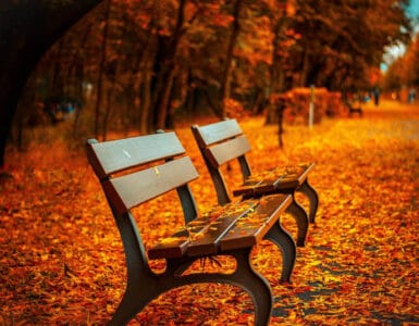 Eterno color de otoño, de Yoanna Mojón 4 Otono