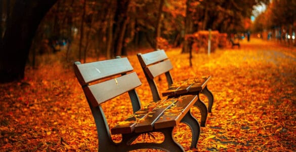 Eterno color de otoño, de Yoanna Mojón 3 Otono