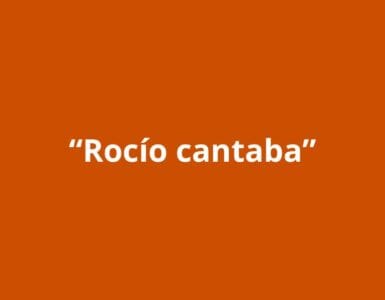 Verbo