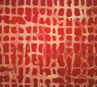 Juan Uslé. La abstracción como recurso pictórico 2 Juan Uslé