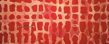 Juan Uslé. La abstracción como recurso pictórico 14 Juan Uslé