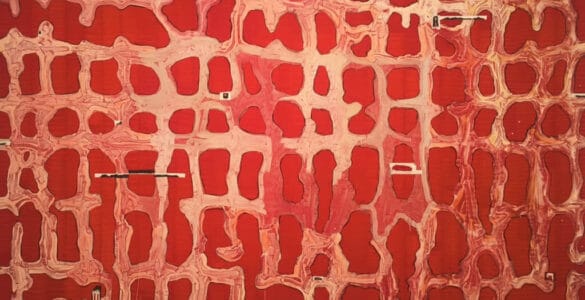 Juan Uslé. La abstracción como recurso pictórico 2 Juan Uslé