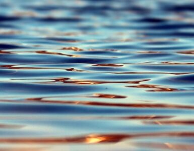 Y en el Agua se hizo Carne… 5 Y en el Agua se hizo Carne…
