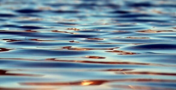Y en el Agua se hizo Carne… 6 Y en el Agua se hizo Carne…