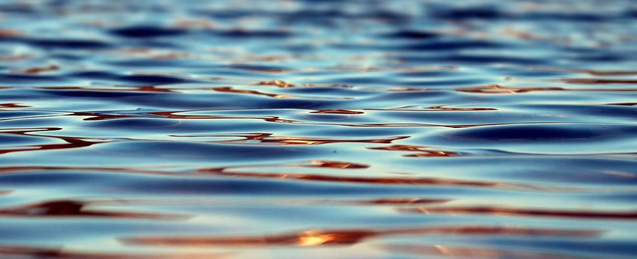 Y en el Agua se hizo Carne…