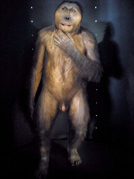 Representación de un parántropo (Paranthropus boisei) epresentación de un parántropo (Paranthropus boisei)