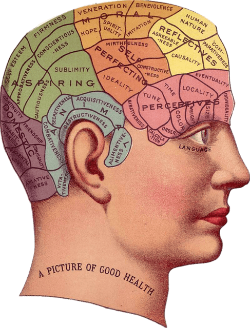 El libro del Génesis, analogía del Cerebro