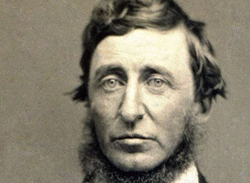 David Thoreau