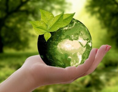 Ecología