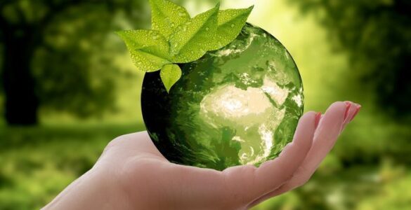 El sentido sagrado de la vida 1 Ecología