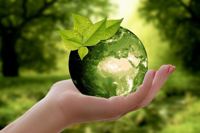 Ecología
