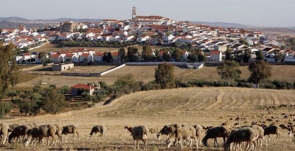 Fuente Obejuna, la Ayn Qobboši de las Crónicas Arábigas 14 Fuente Obejuna (vista general)