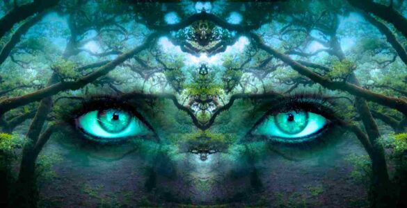 Gaia