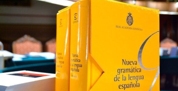 La gramática y su relación con otras disciplinas lingüísticas 19 Gramática