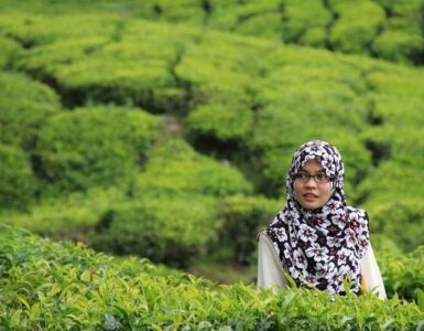 El Hijab o Velo de la mujer musulmana 4 Hijab