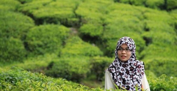 El Hijab o Velo de la mujer musulmana 5 Hijab