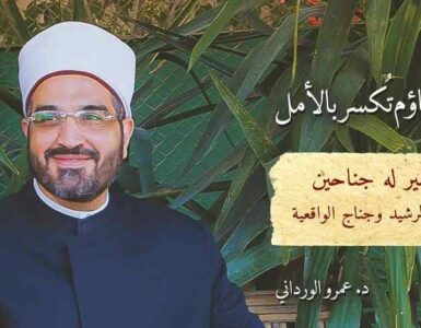 Amr Elwrdany