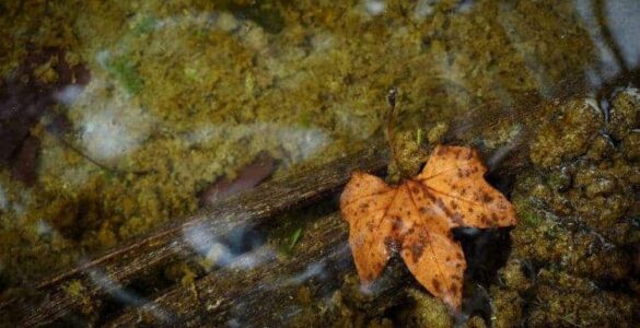 Esto está escrito para leer bajo el agua 22 Leer bajo el agua