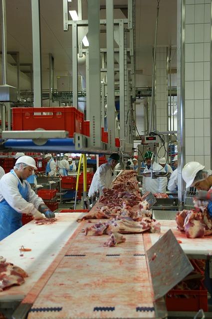 Carne