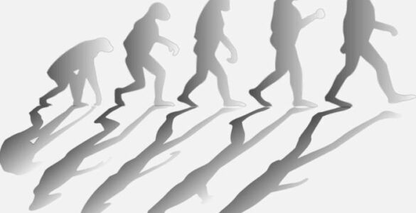 Darwin y su viaje iniciático hacia el origen de la vida 24 Origen