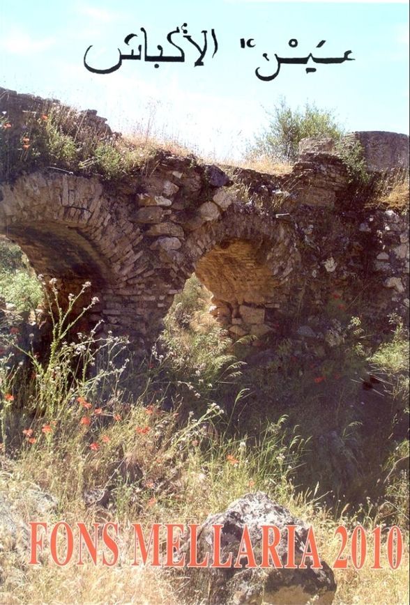 puente árabe de Fuente Obejuna puente árabe de Fuente Obejuna