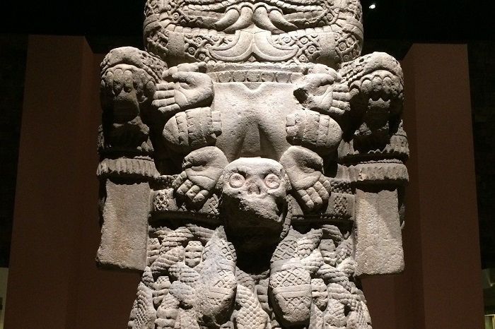 Antropología