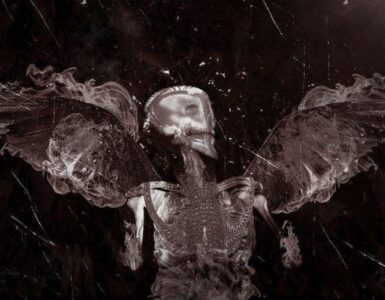 skull 1391722 1280